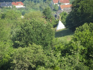 IMG_6616