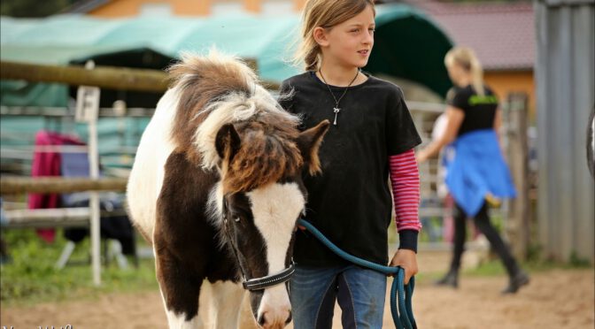 IPZV Pferdeführerschein Umgang für junge Reiter